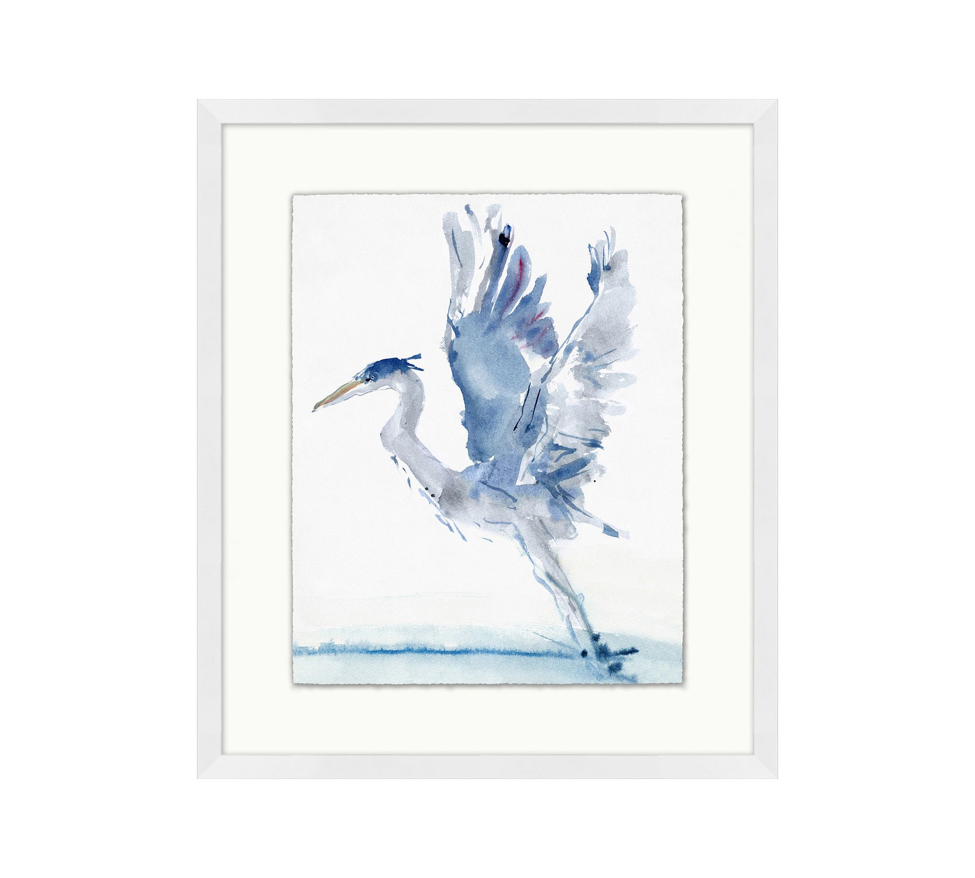 Take Flight Framed Print