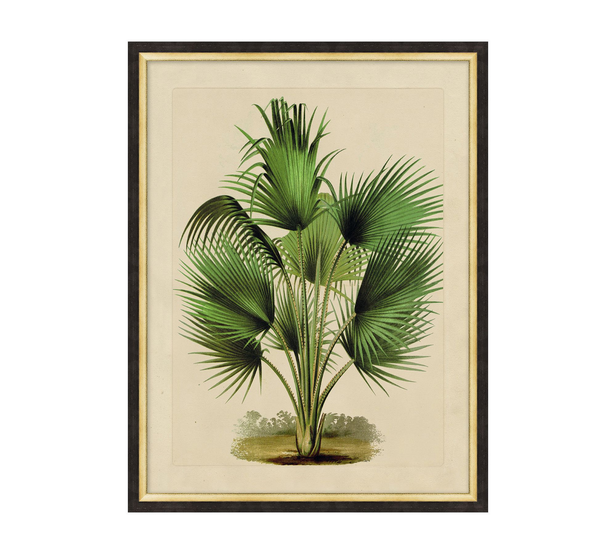 Shrubbery Framed Print