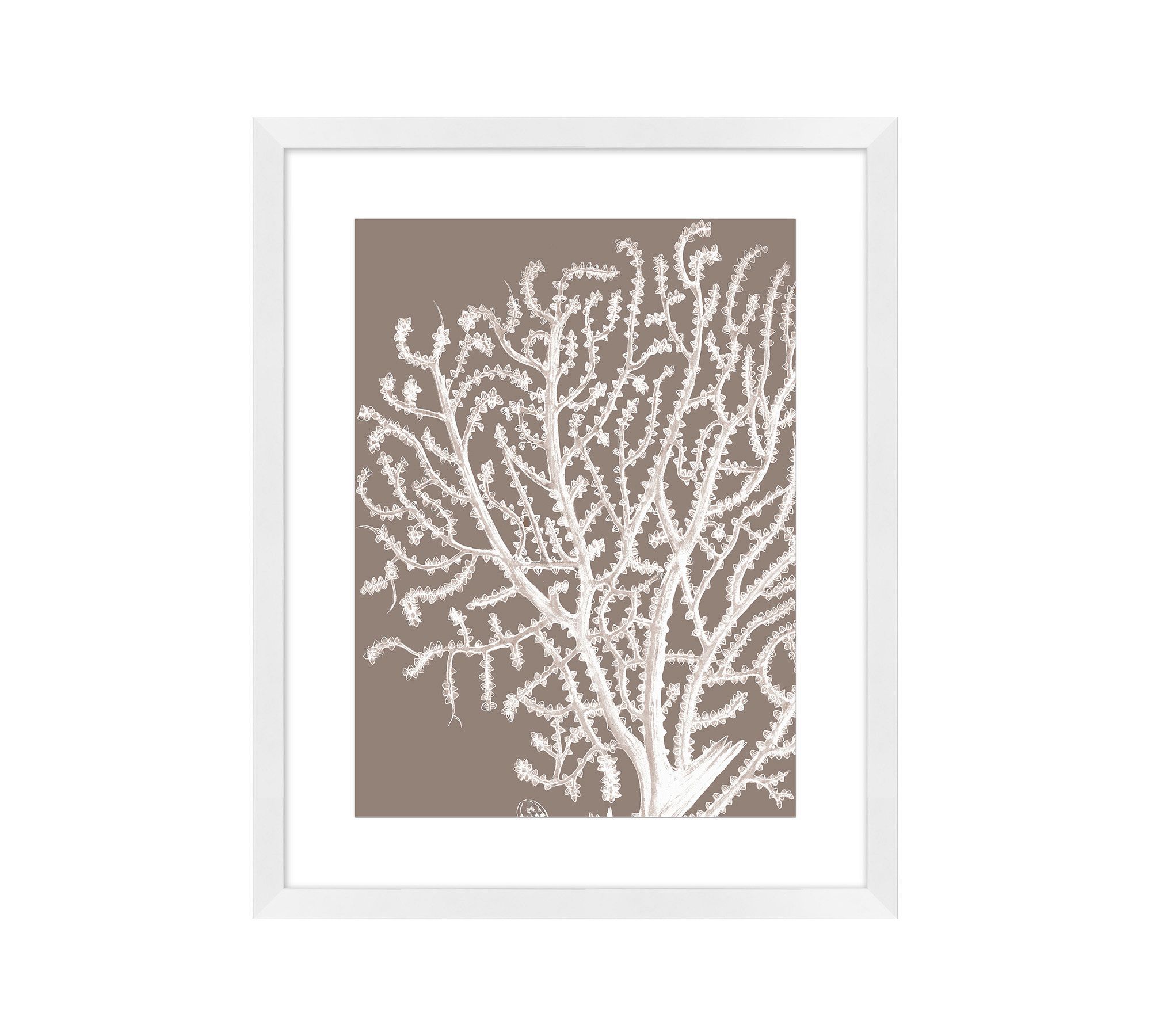 White Sea Fan On Tan Framed Print