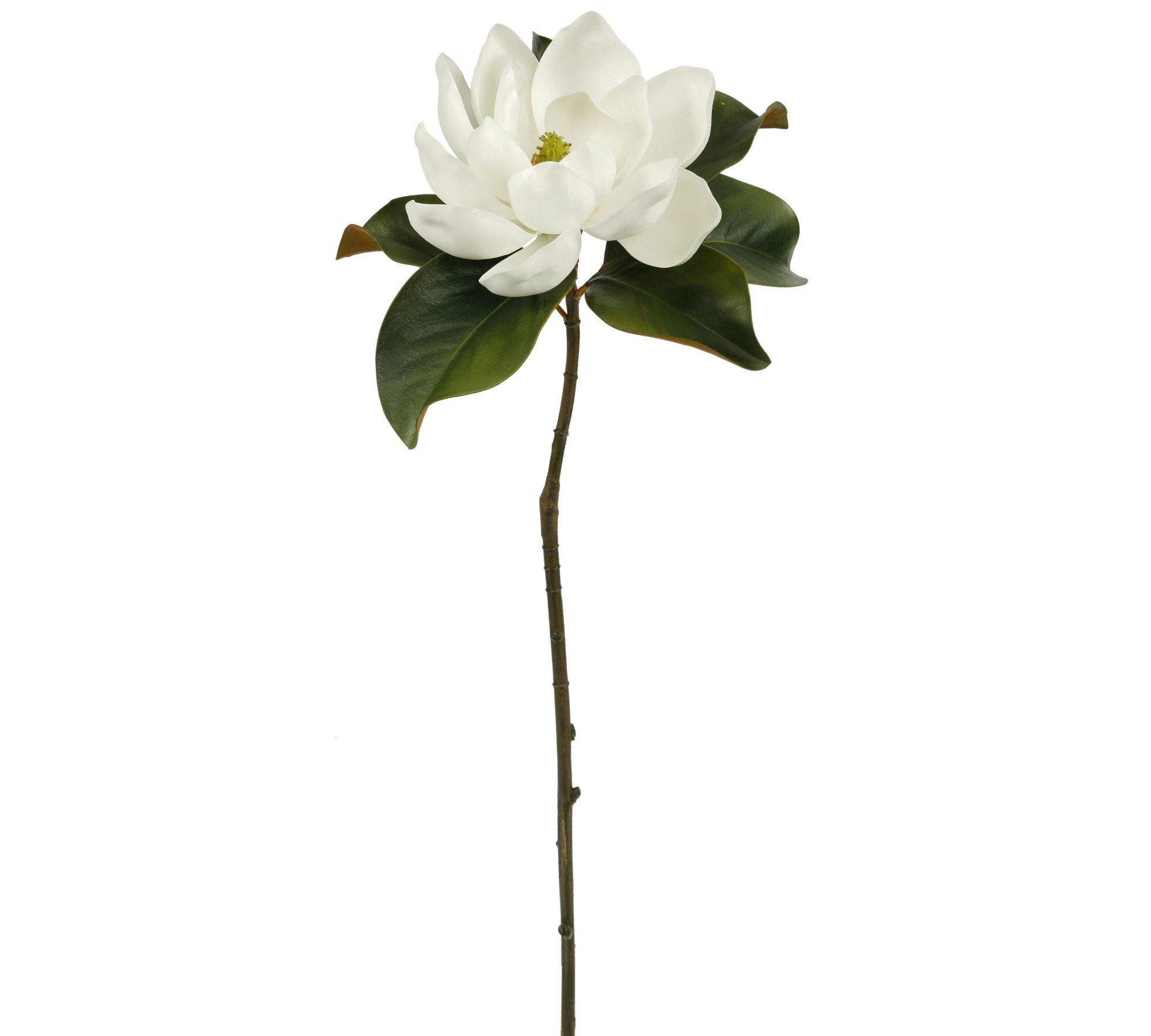 Faux Magnolia Bloom Half Dozen Stems