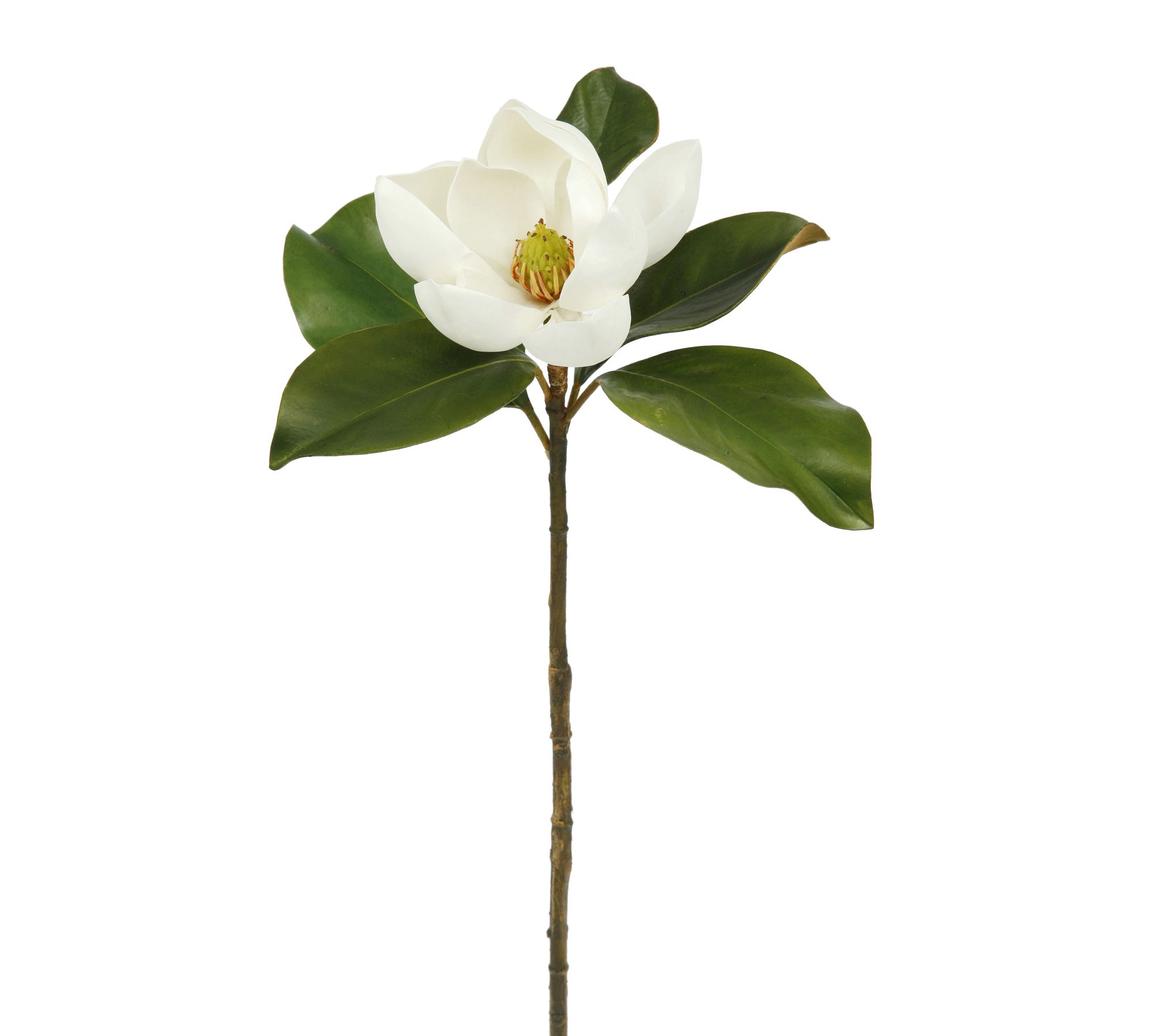 Faux Magnolia Bloom Dozen Stems