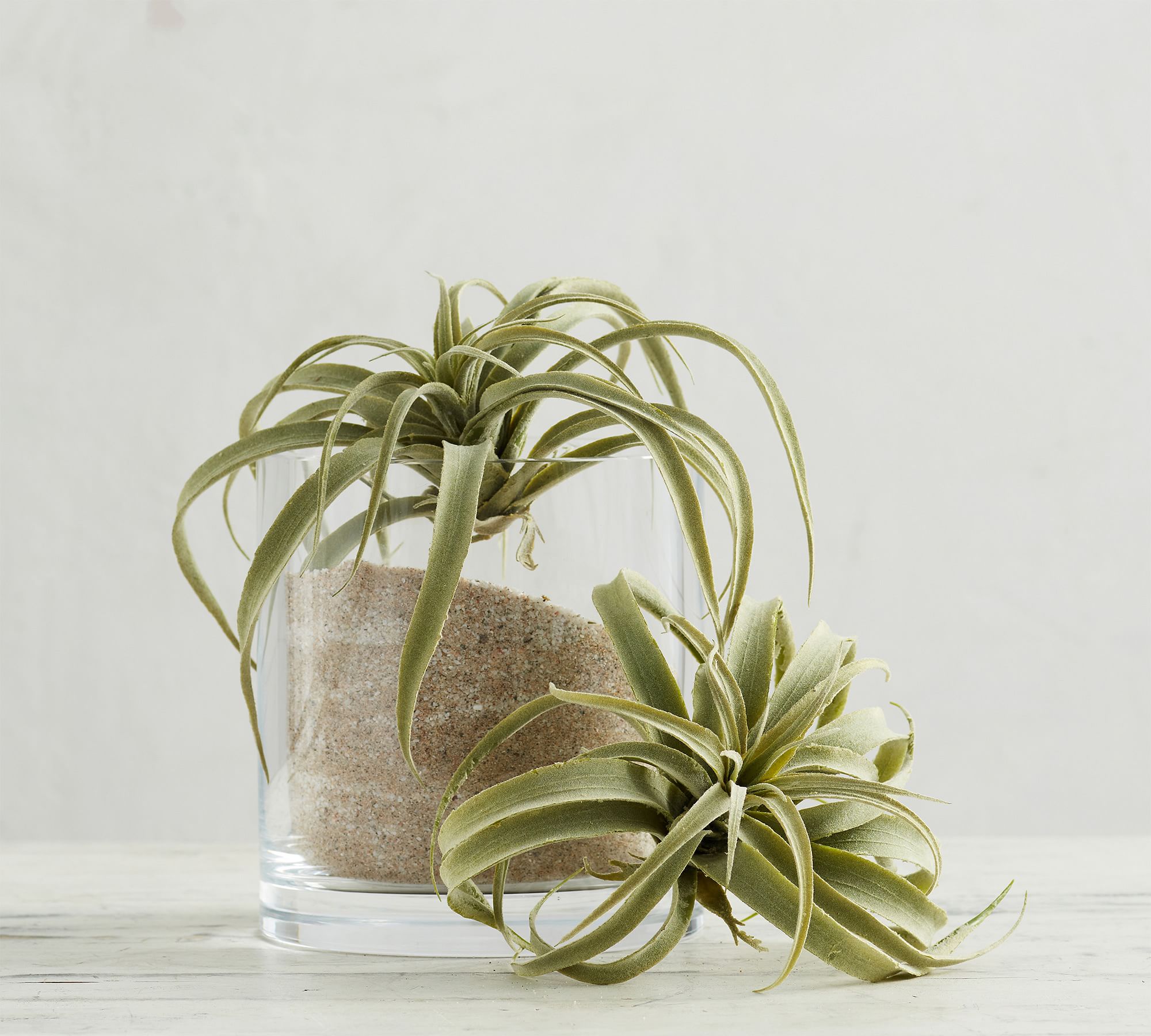 Faux Tillandsia Succulent Stem