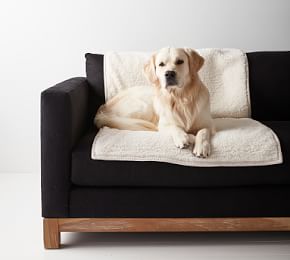 Pottery barn pet furniture throw sale