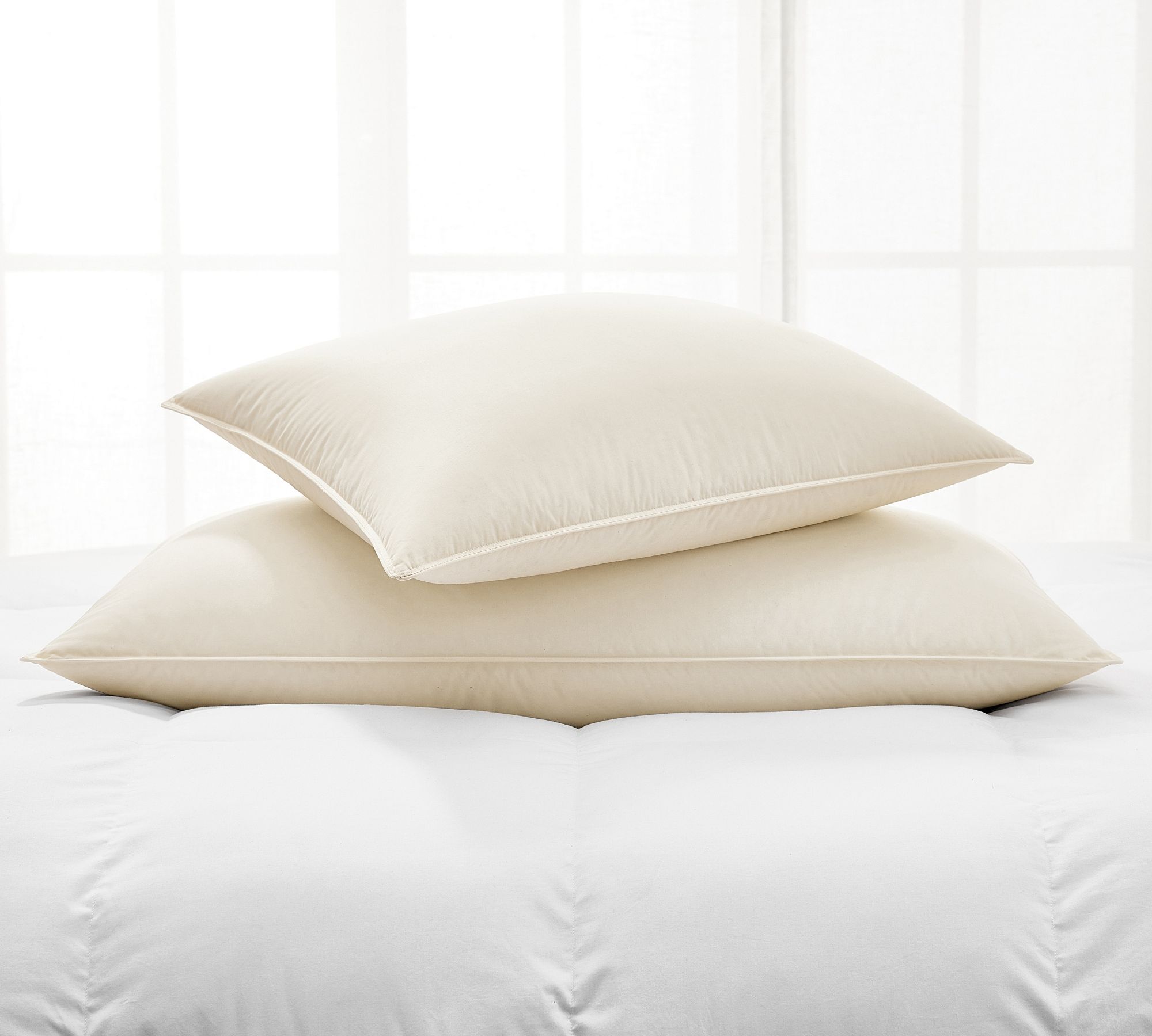 Lanadown Pillow Insert