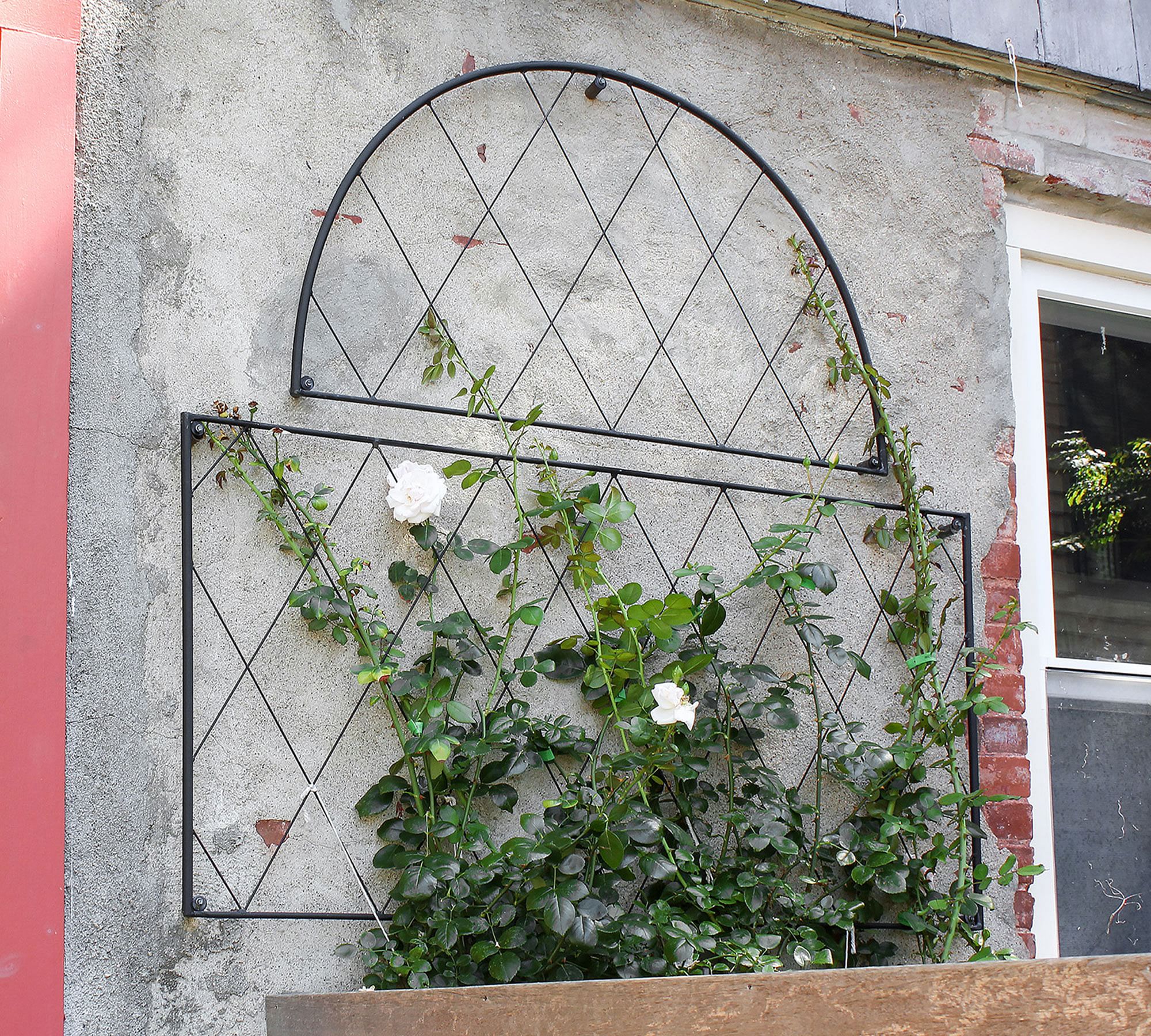 Clarence Wall-Mounted Trellis Set