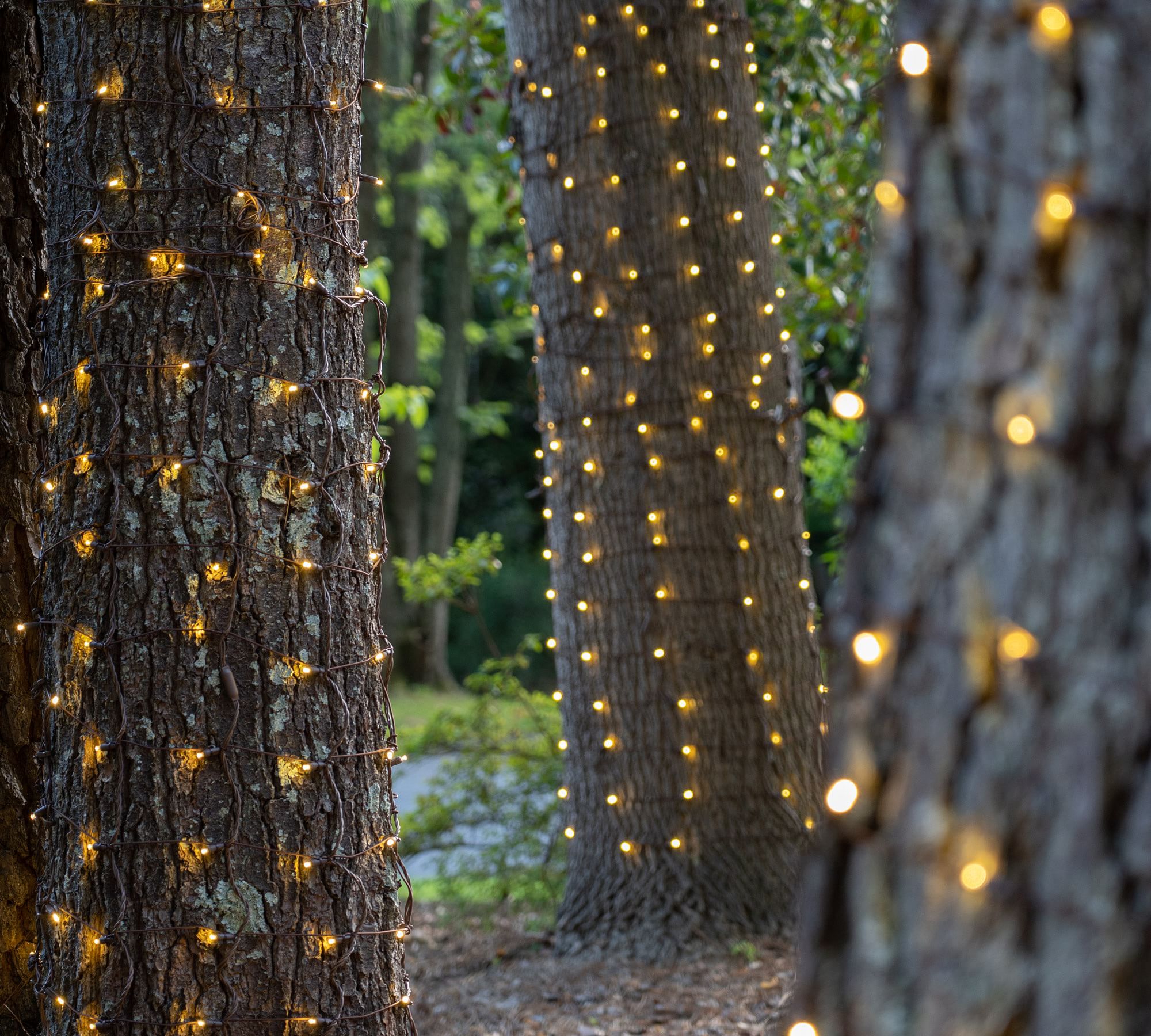 Warm White LED Net Lights