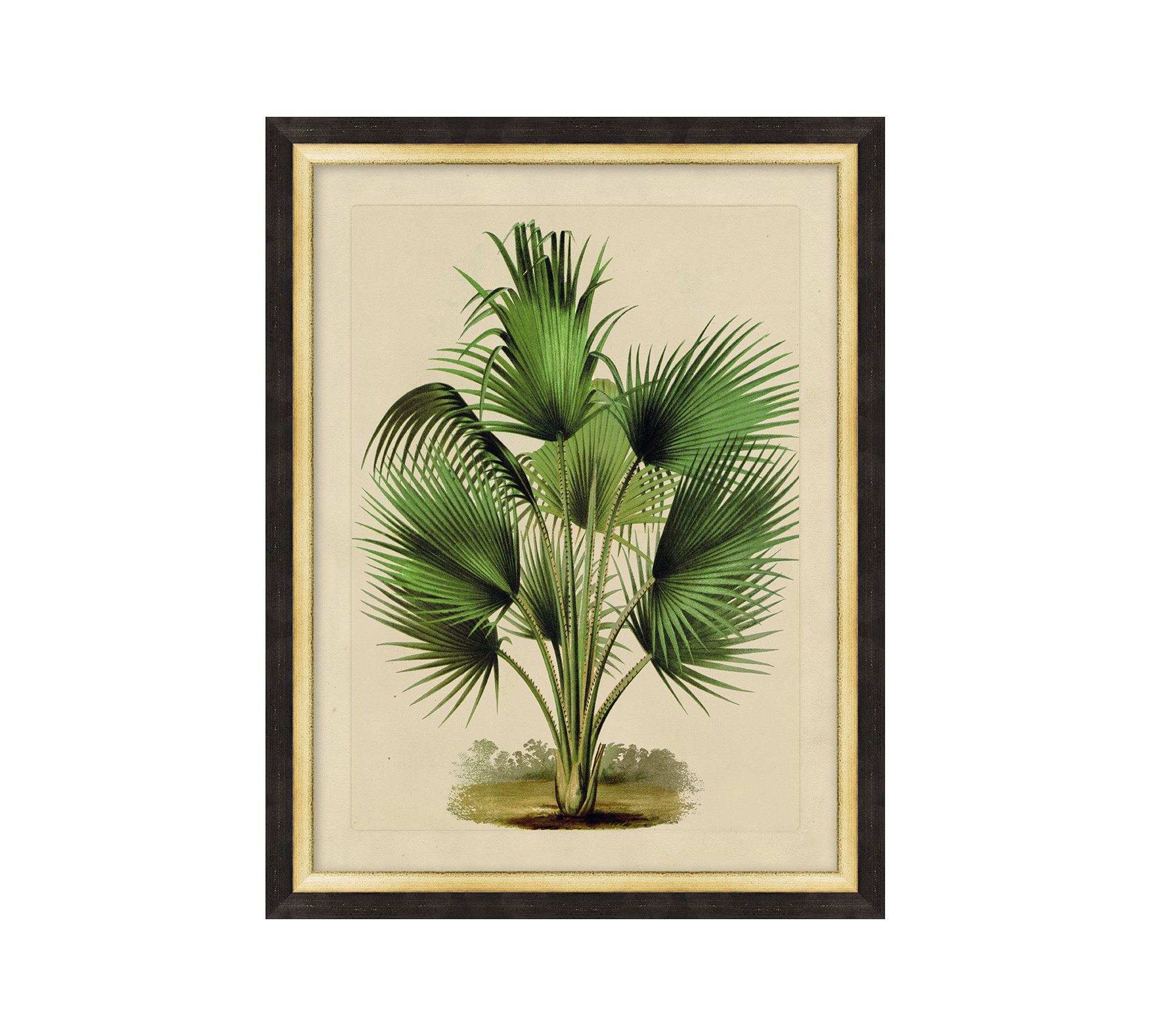 Shrubbery Framed Print