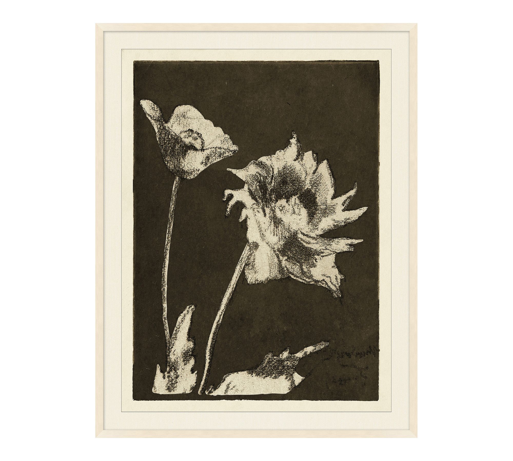 Textured Flora Framed Print