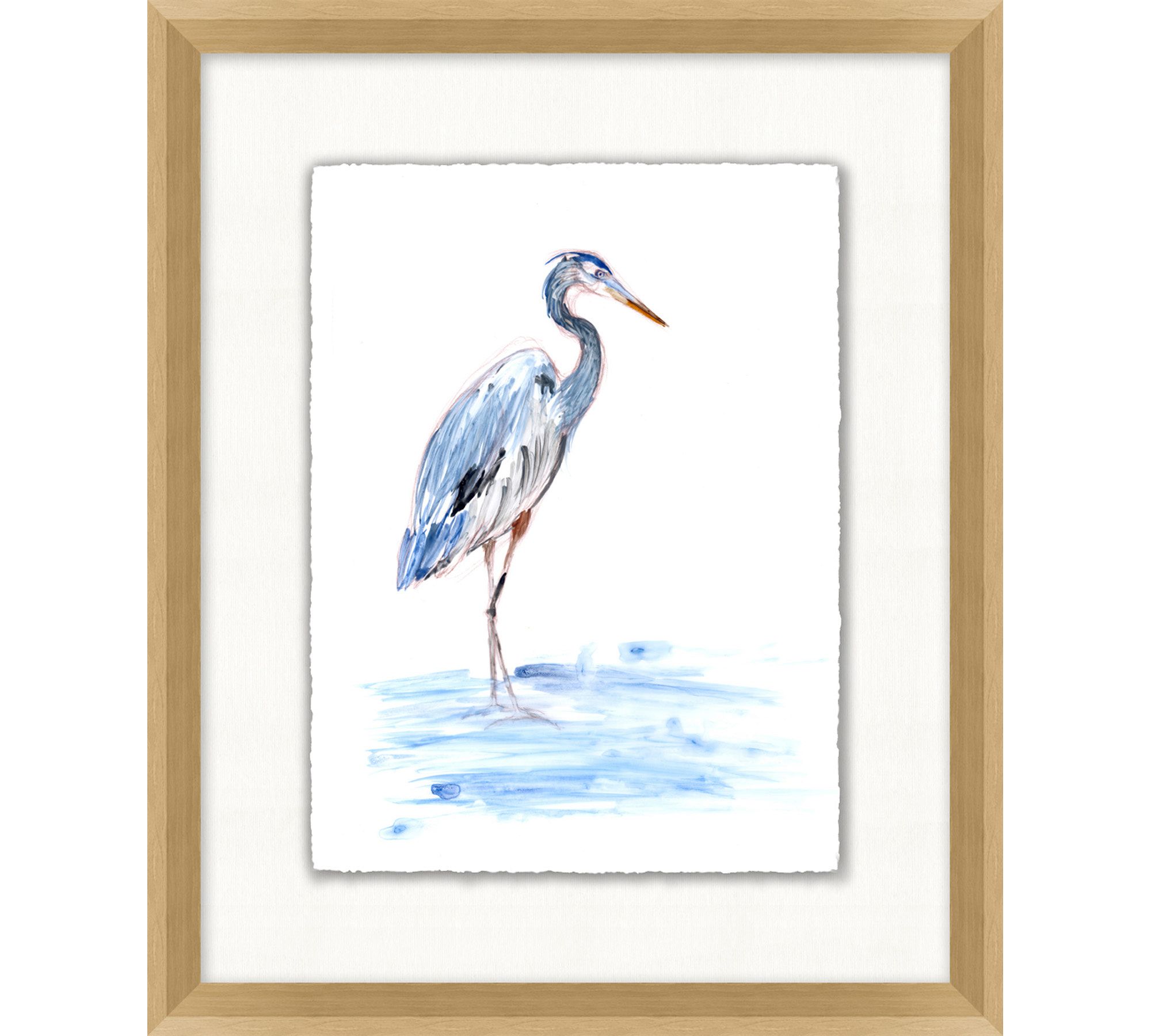 Watercolor Heron Framed Print