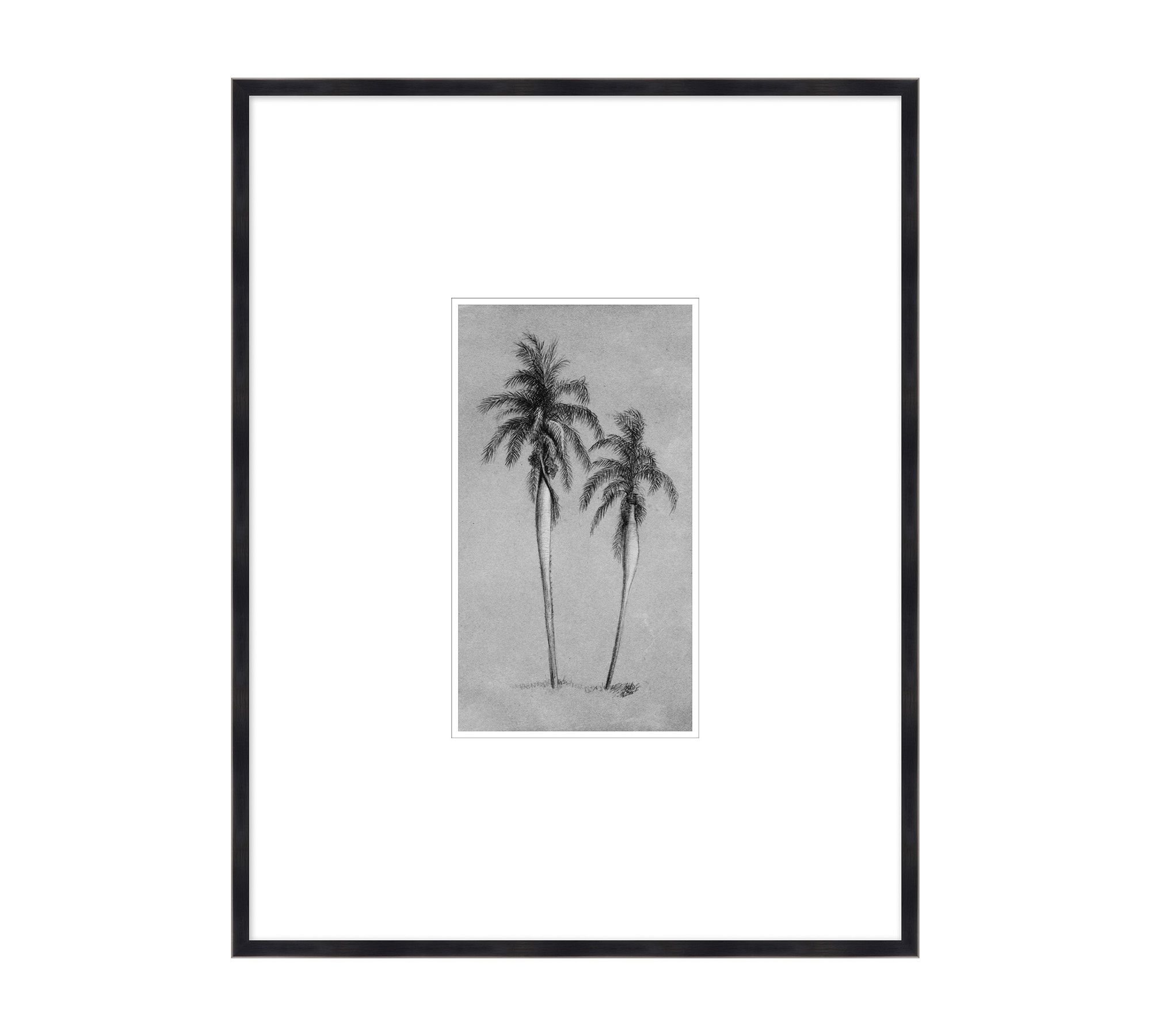 Pencil Sketch Palms Framed Print