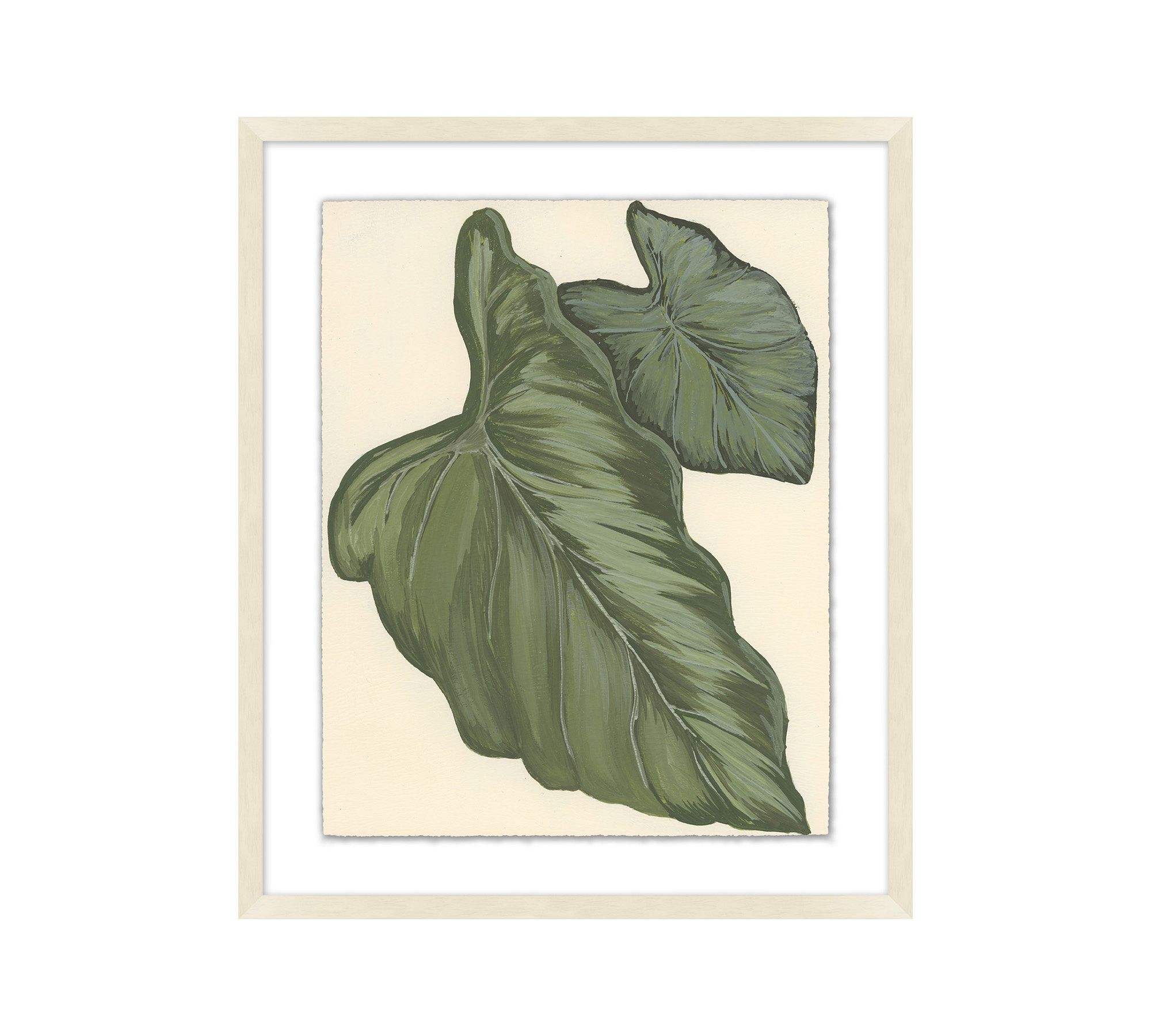 Philodendron Leaf Framed Print