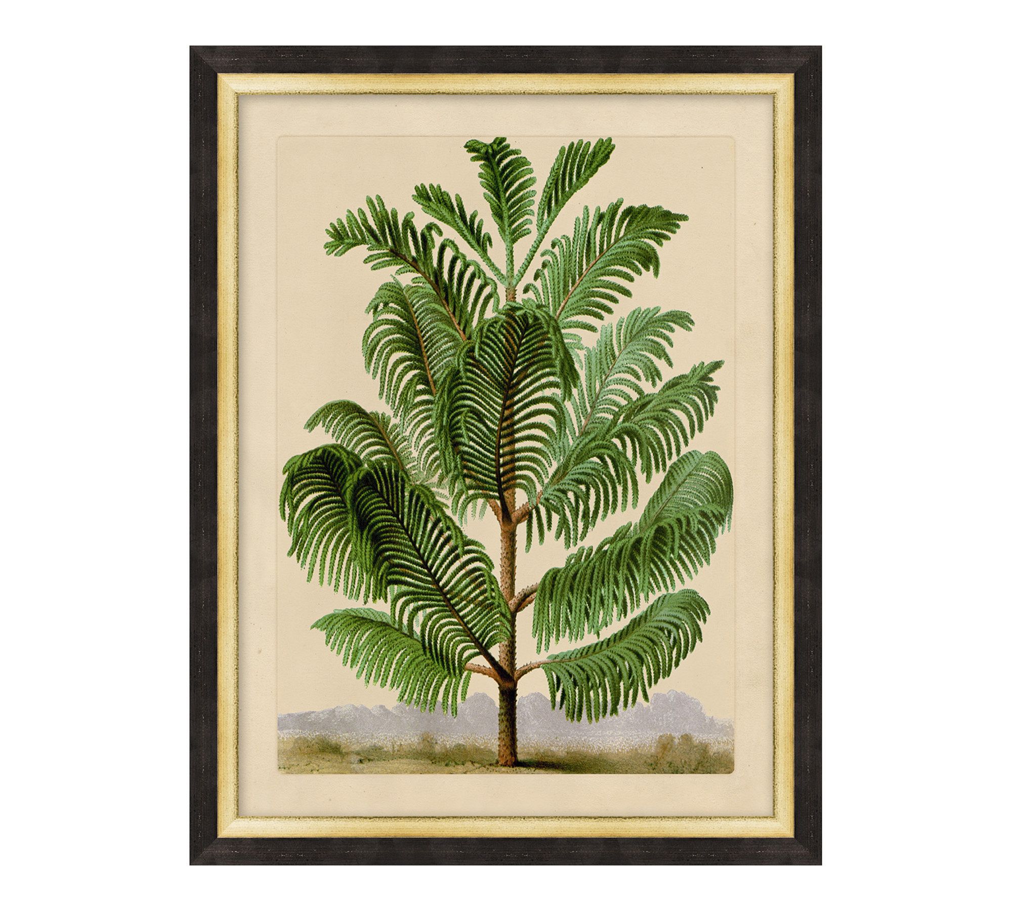 Shrubbery Framed Print