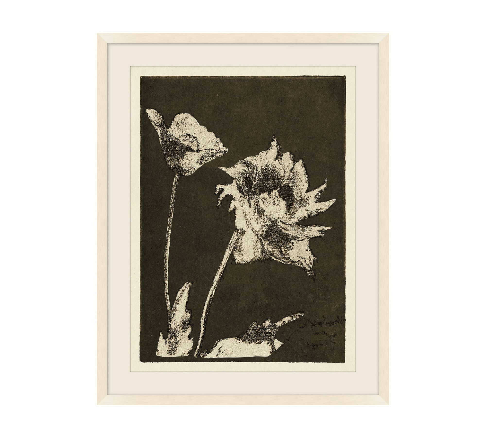 Textured Flora Framed Print