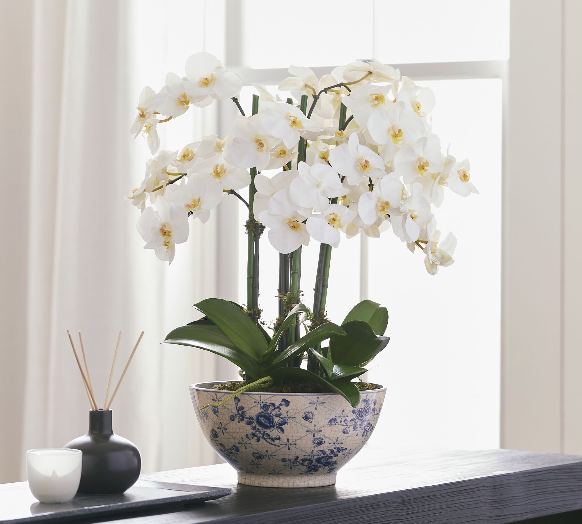 Faux Orchid in Rose Trellis Bowl