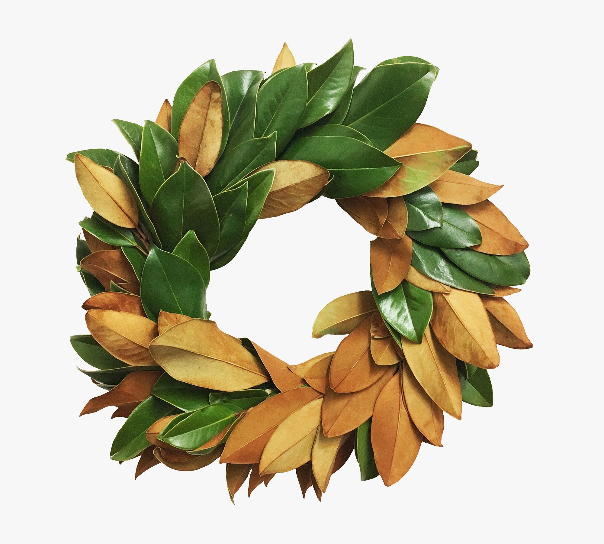 Fresh Magnolia Wreath