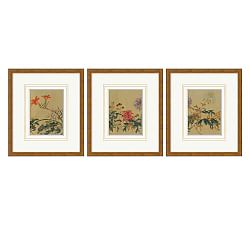 Edo Flowers Framed Prints