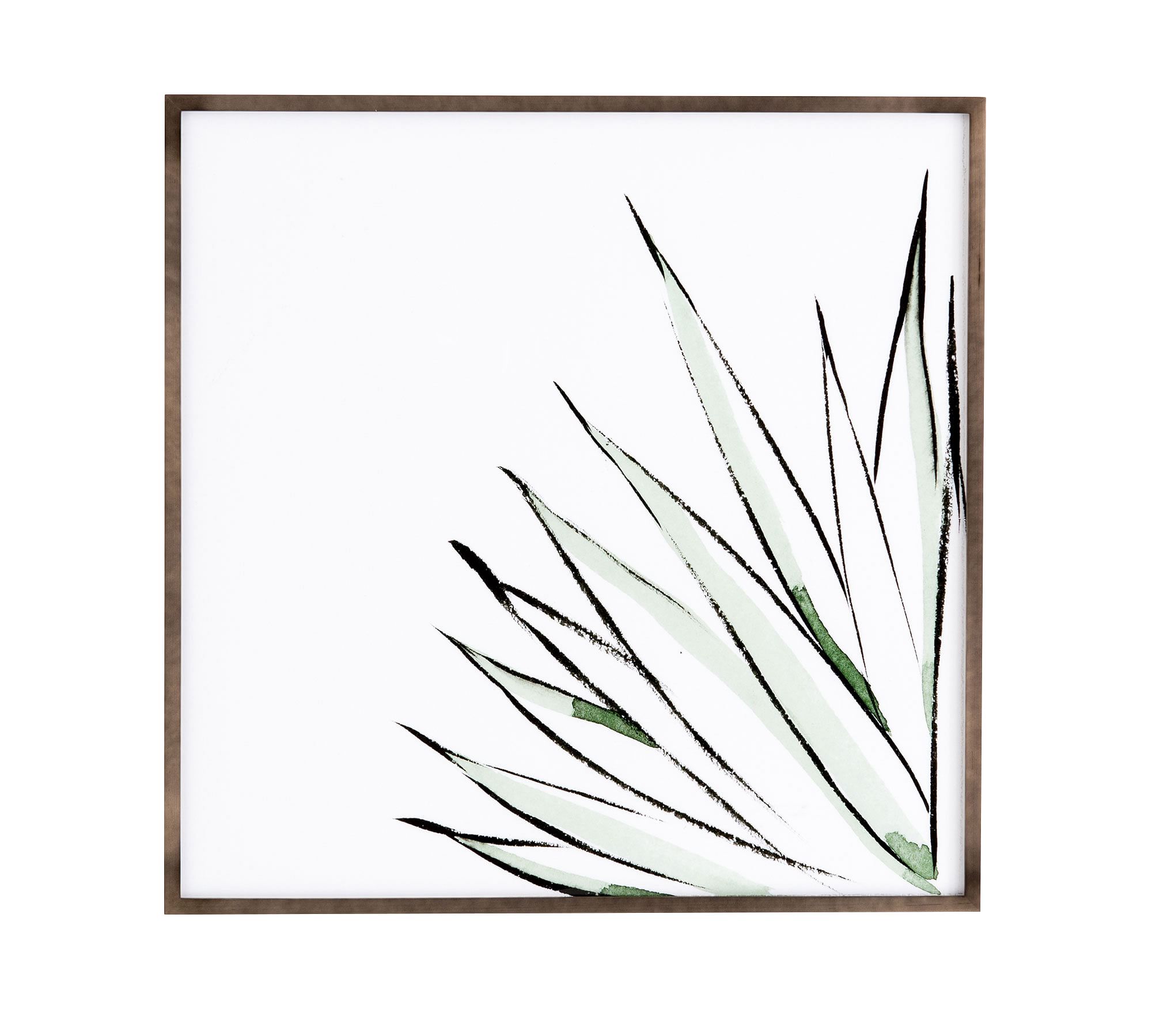 Agave Crop Framed Print