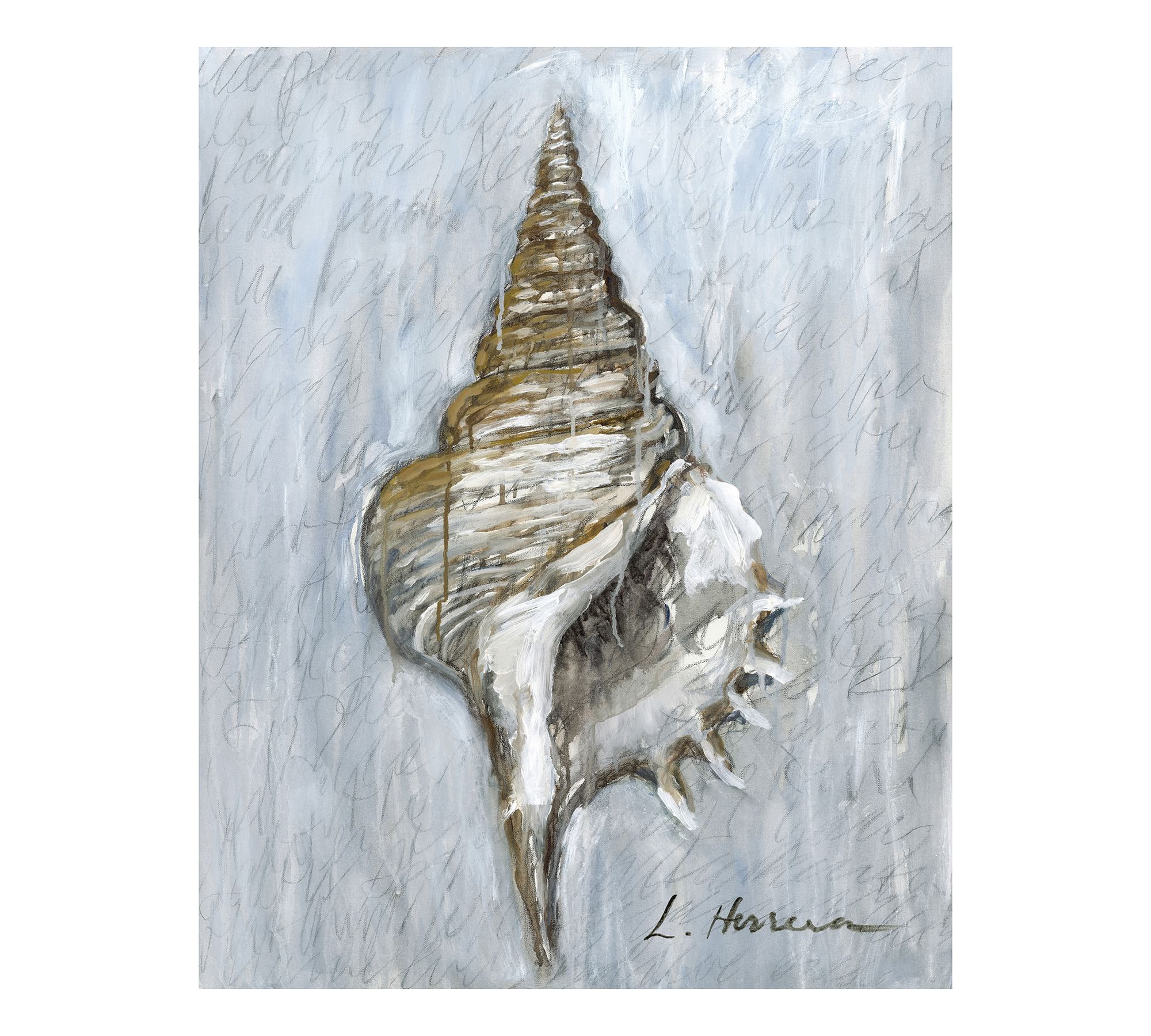 Shell Study #3 by Lauren Herrera