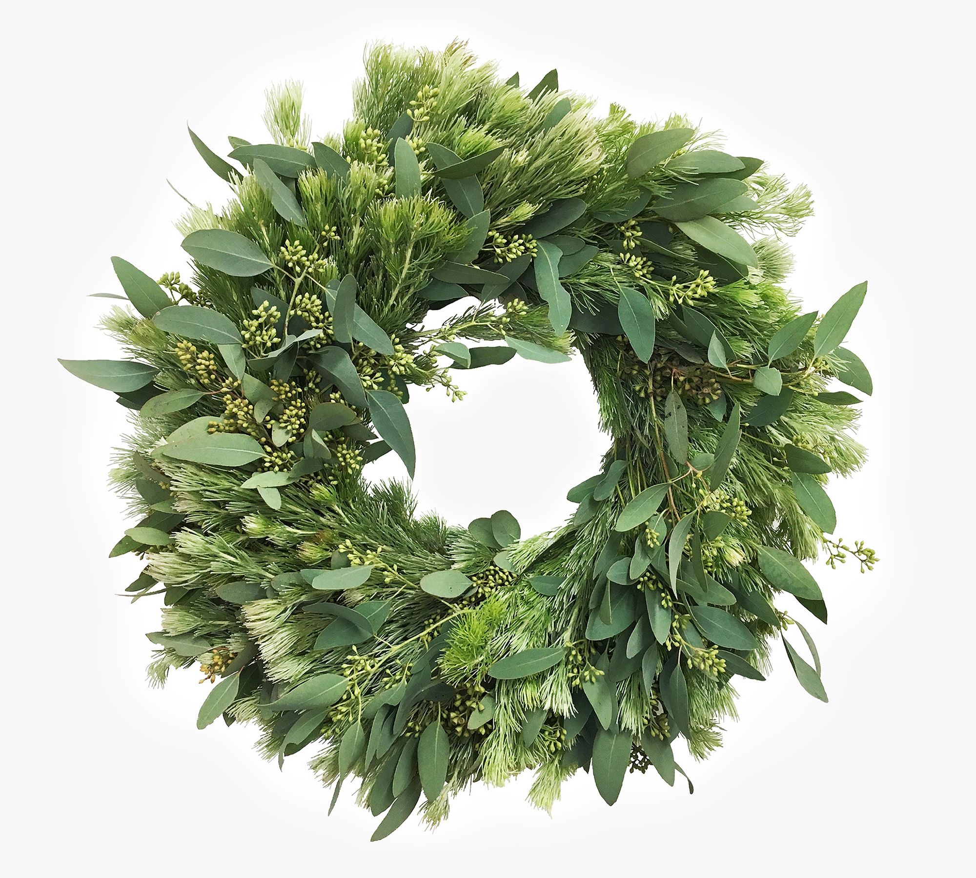 Fresh Wooly Bush and Eucalyptus Wreaths