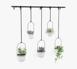 Hanging Wall Planters - Set of 5