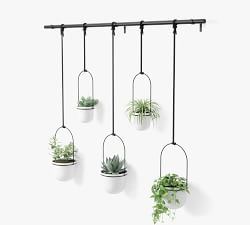 Hanging Wall Planters - Set of 5