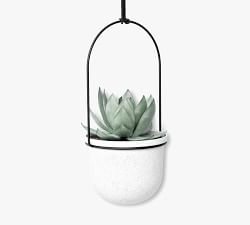 Hanging Wall Planters - Set of 5