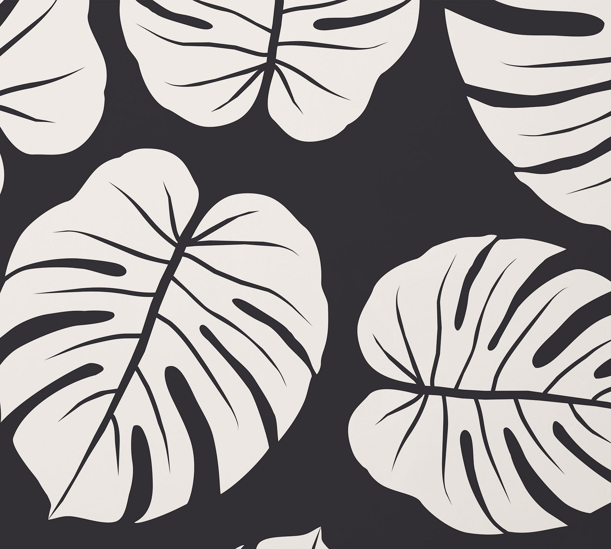 Monstera Wallpaper