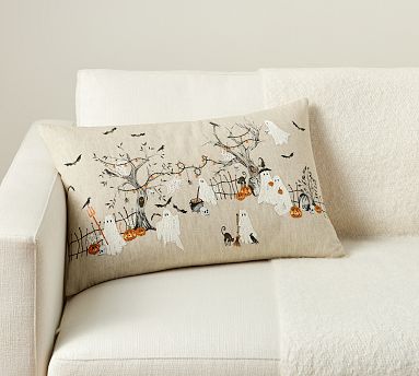 Deals Potterybarn Pillow