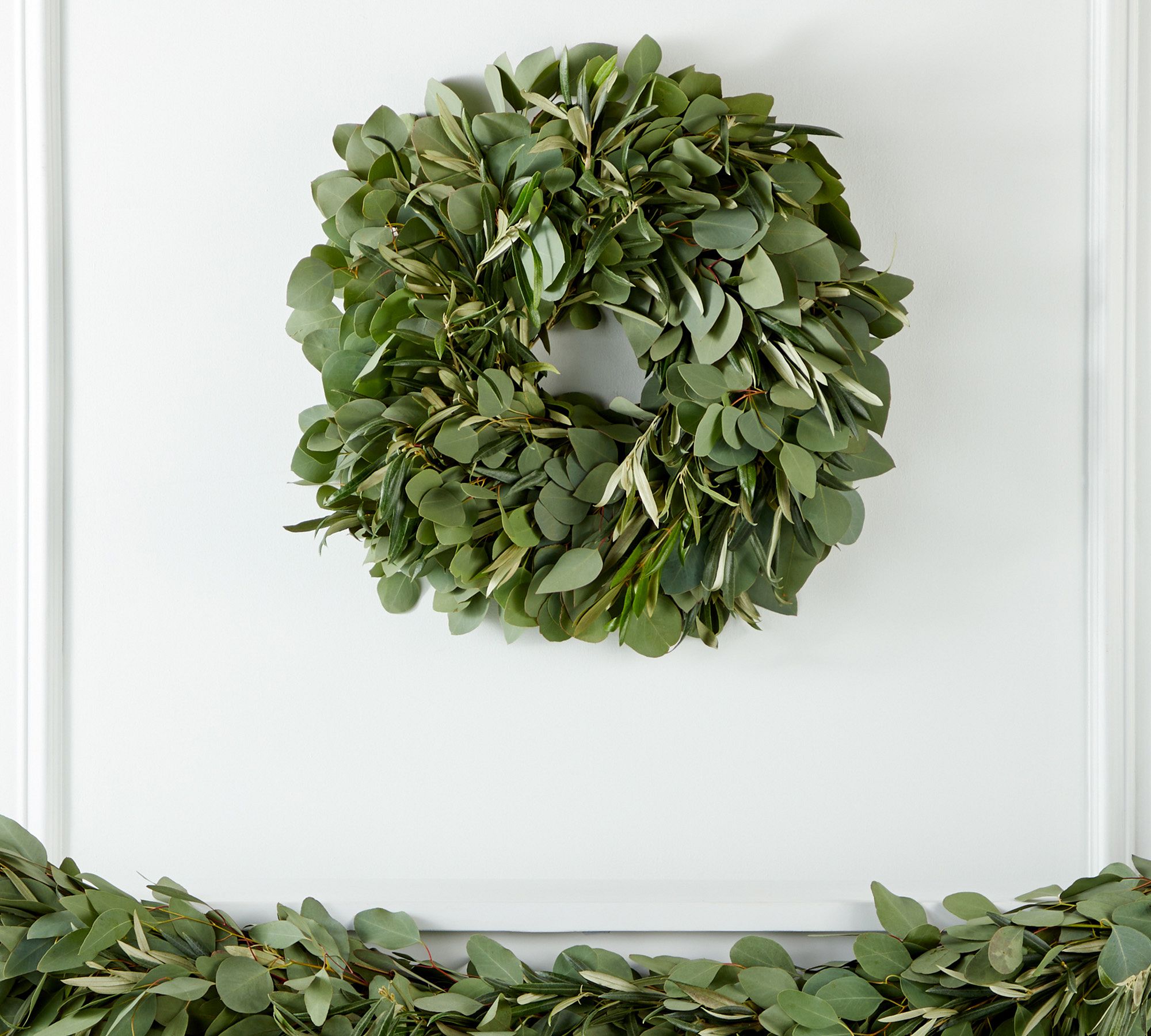 Fresh Silver Dollar Eucalyptus Olive Wreath & Garland