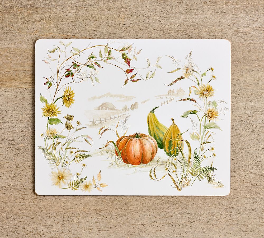 Pottery Barn Cork Placemats