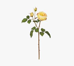 Faux English Charlotte Rose Dozen Stems