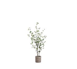 Faux Cornus Trees In Terracotta Planter