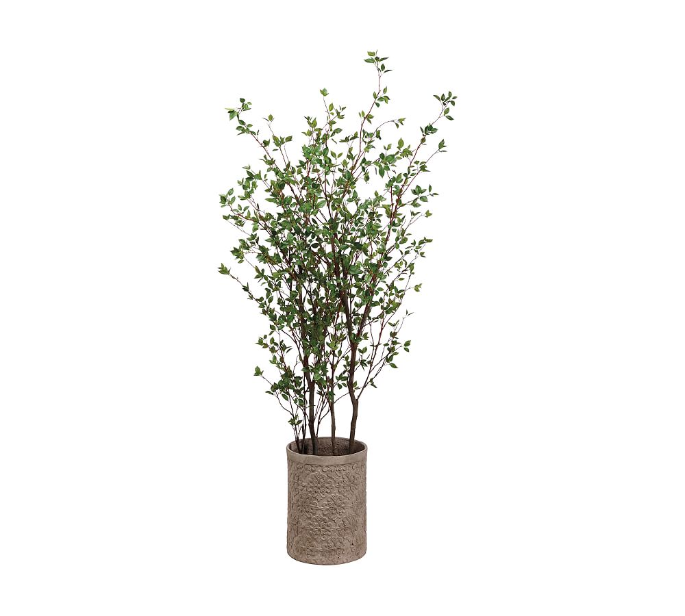Faux Cornus Trees In Terracotta Planter