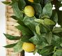 Monique Lhuillier Faux Lemon Wreath &amp; Garland