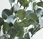 Faux Oversized Silver Dollar Eucalyptus Branch