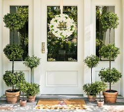 Lit Faux Boxwood Topiary