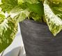 Black Terracotta Outdoor Planters