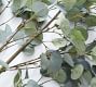 Faux Oversized Silver Dollar Eucalyptus Branch