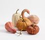 Faux Pumpkins &amp; Gourds - Set of 5