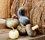 Faux Pumpkins &amp; Gourds - Set of 5