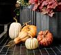 Faux Pumpkins &amp; Gourds - Set of 5