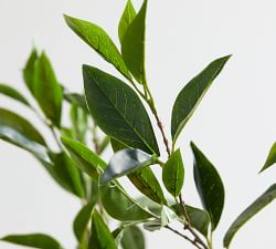 Faux Green Bay Leaf Branch