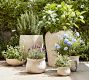 Artisan Handcrafted Cachepots