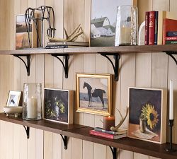 Great Falls Shelf