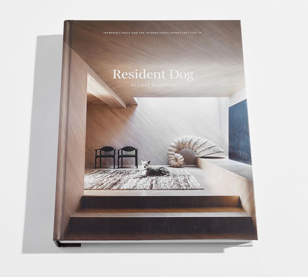 Resident Dog by Nicole England