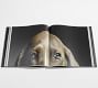 Dogs by Tim Flach