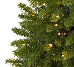 Lit Sierra Spruce Artificial Christmas Tree