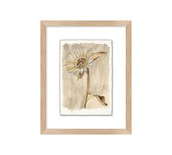 Neutral Daisy Print Wall Art
