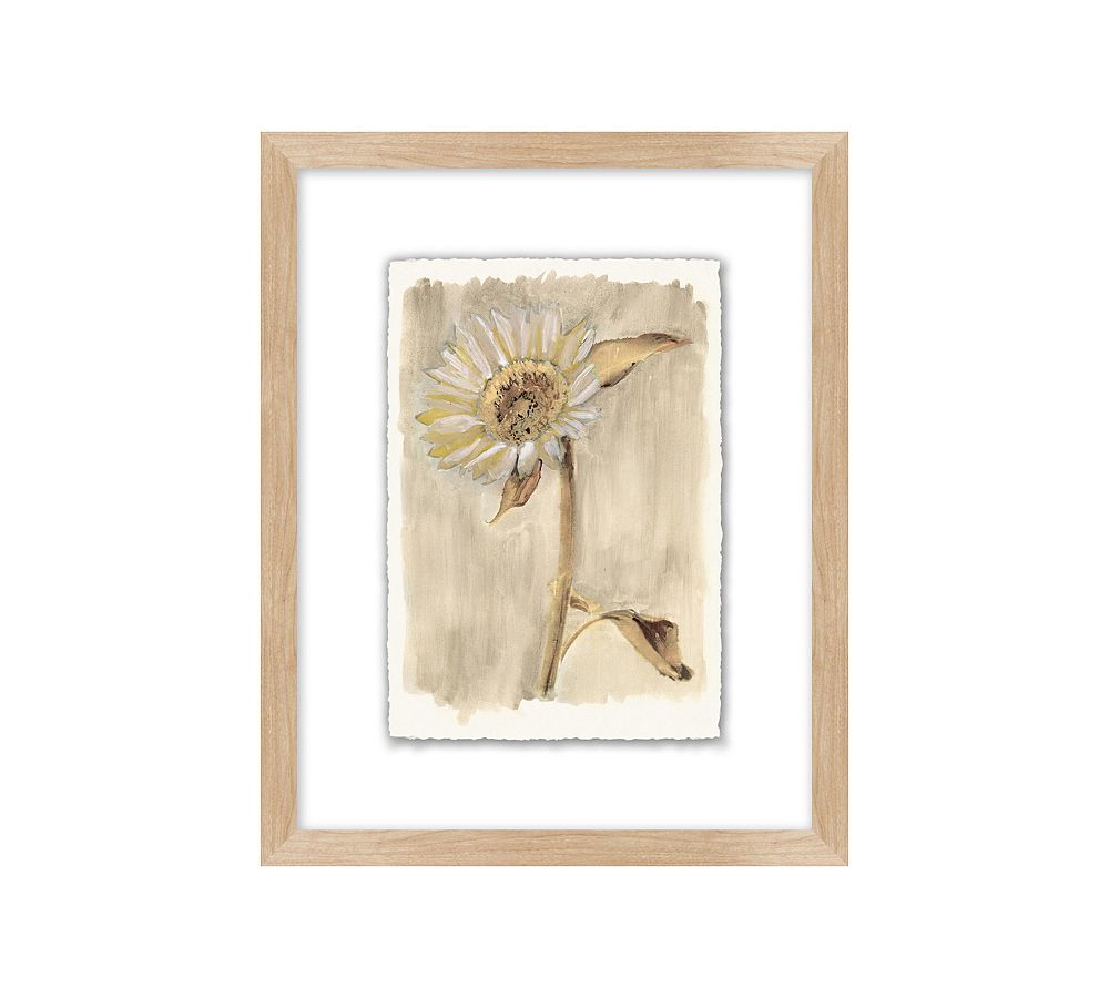 Neutral Daisy Print Wall Art