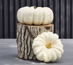 Open Box: Faux Pumpkins &amp; Gourds